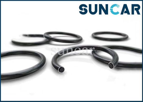 comprare Giunto circolare CS3 che sigilla Ring For Mechanical Equipment online manufacture