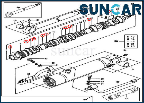 comprare Braccio 0843613 che sigilla Kit Deere Cylinder Seal Repair Kit Fits JOHN DEERE 50ZTS 35ZTS online manufacture