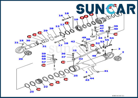 707-99-69780 la guarnizione Kit Hydraulic Cylinder Service Kit del cilindro del braccio misura l'escavatore di KOMATSU PC1250-7
