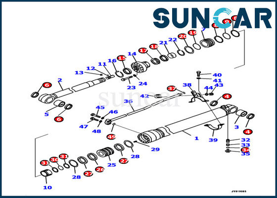 Modello idraulico di Seal Kit PC138US-10 dell'escavatore dei corredi di riparazione del cilindro del braccio 707-99-39770 KOMATSU