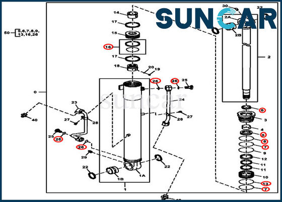 Riparazione Kit Replacement Kits For John Deere 60D della guarnizione del cilindro di 4687559 aste